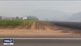 Fire impact on wine country tourism