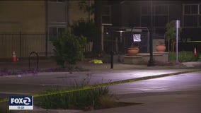 Vallejo on track for one of the most violent years in decades