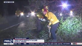 Tree hits deputy's car in wildfire zone along Silverado Trail