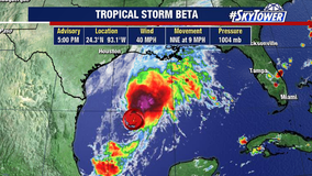 Big day in the tropics: Tropical storms Wilfred, Alpha, and Beta form just hours apart