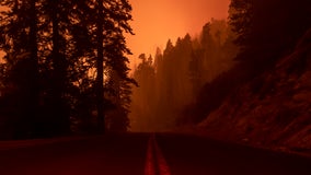 Sequoia National Park closed due to California wildfire