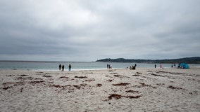 Bacteria advisories issued for two Monterey County beaches