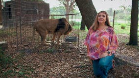 Big Cat Rescue CEO Carole Baskin joining cast of 'Dancing with the Stars'