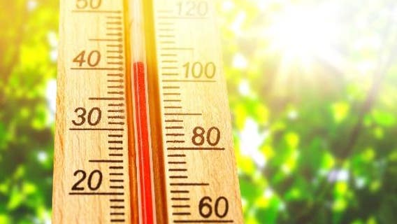 Beat the heat: San Leandro public library open as cooling center