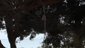 Noose found in Berkeley park leads to hate crime charge