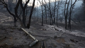 Even modest rainfall can cause dangerous debris flows in wildfire burn zones: study