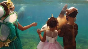 Six Flags announces new pandemic-tailored Halloween event at Vallejo theme park