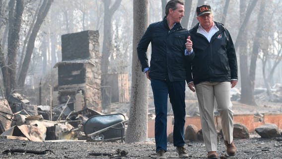 Federal agencies fall short of Trump forest protection goals