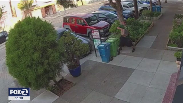 Vandalism victim says crime highlights need for mental health services