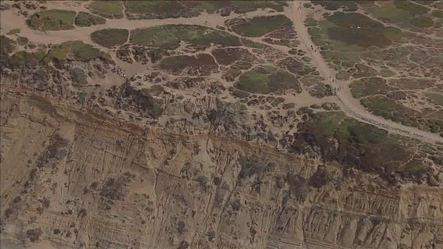 Firefighters race to Fort Funston to rescue dog