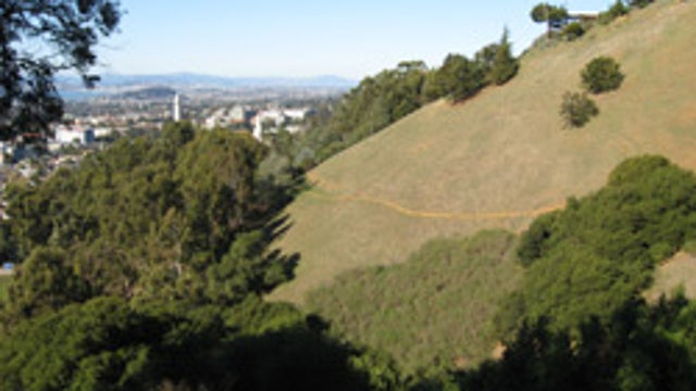 East Bay Regional Park District closes 10 parks because of fire danger