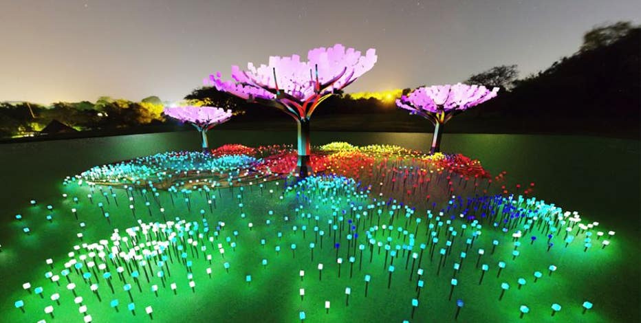 SF's Golden Gate Park to become 'enchanted forest' of lights for