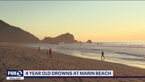 4-year-old girl drowns at Point Reyes National Seashore