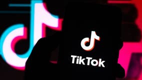 TikTok asks court to intervene as Trump order looms