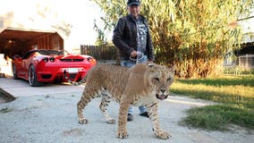 ‘Tiger King’ star Jeff Lowe accused of inhumane treatment