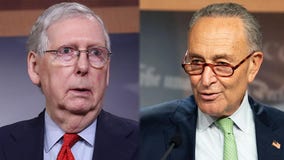 McConnell, Schumer re-elected to lead, but US Senate majority uncertain
