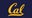 Cal men's basketball team cleared to resume practice