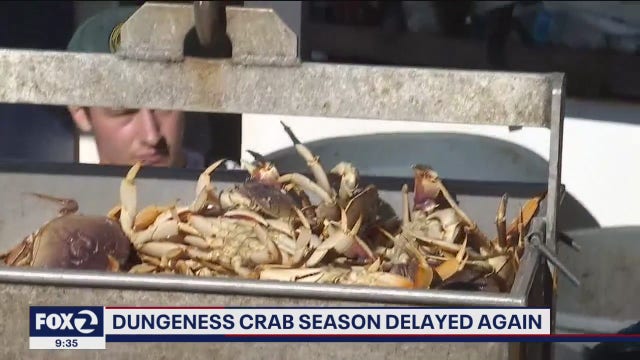 Dungeness crab season delayed again in California