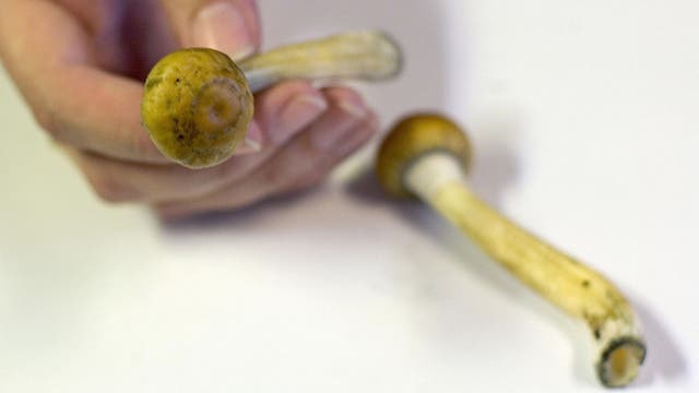 California advances decriminalizing psychedelic substances