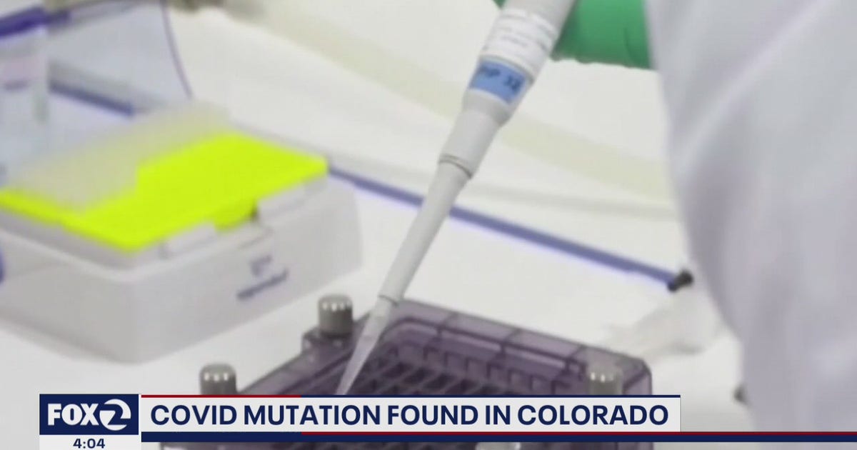 Colorado announces first case of coronavirus variant originally found ...