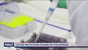 Colorado announces first case of coronavirus variant originally found in UK