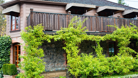 The French Laundry received over $2.4M in PPP loans