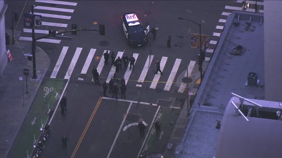 Fatal hit-and-run suspect was free on parole despite arrests