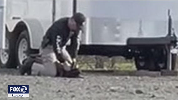 Vacaville officer caught on video beating K-9 was 'correcting' dog
