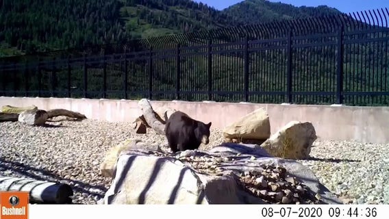 Utah celebrates state’s first wildlife bridge, as plans underway for landmark wildlife overpass in California