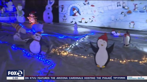 Sonoma family transforms grass field into Disney, Star Wars winter wonderland