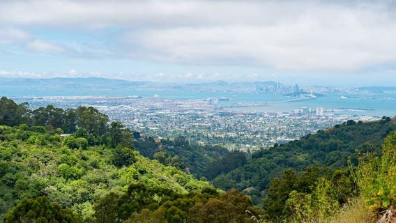 Hundreds of properties in this Bay Area county to be auctioned with bids as low as $455