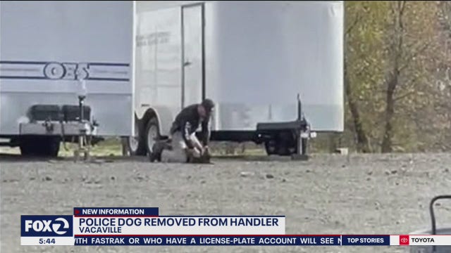 Dog hit in face by Vacaville police officer removed from handler