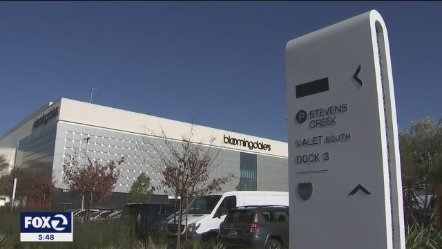 Holiday shopping during a pandemic? Experts share tips
