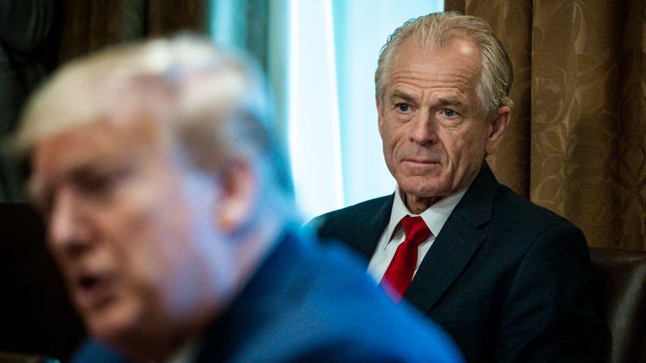 Director of the National Trade Council Peter Navarro.