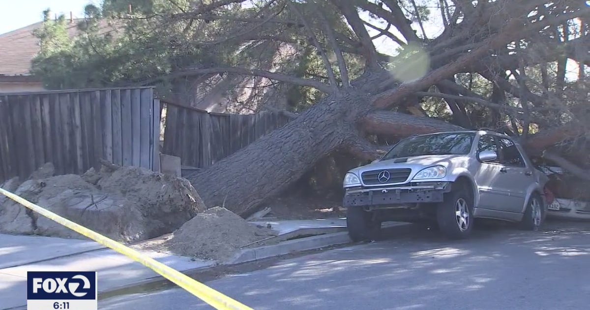 Rare winter windstorm batters the Bay Area | KTVU FOX 2