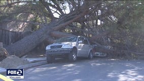 Weird winter windstorm leaves path of destruction