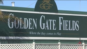 Golden Gate Fields: Horse dies training on rain-soaked track