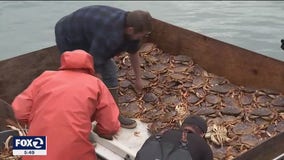 Late start to crab season proves to be not as lucrative