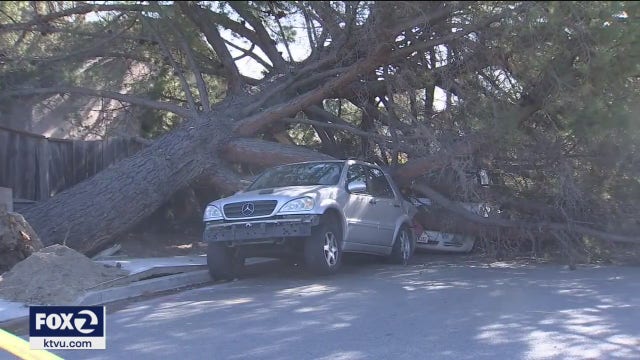 Weird winter windstorm leaves path of destruction