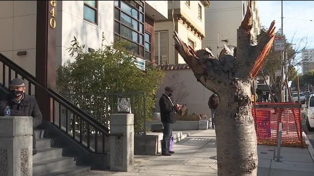 Cherry blossom trees outside the Japanese center in San Francisco destroyed