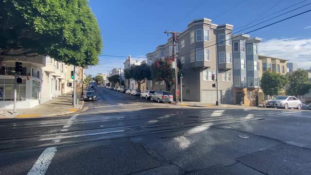 Owner makes tearful plea for stolen puppy's return