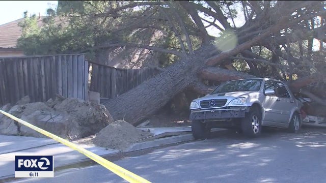 Rare winter windstorm batters the Bay Area