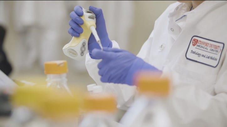 UK and Brazilian coronavirus variants found in the Bay Area - Vimarsana News