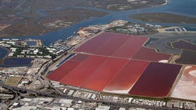 U.S. EPA drops challenge of Redwood City salt ponds protection under Clean Water Act