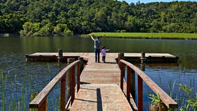 City of Palo Alto to consider renaming Foothills Park