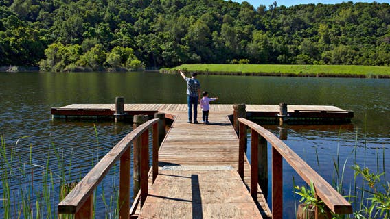 City of Palo Alto to consider renaming Foothills Park