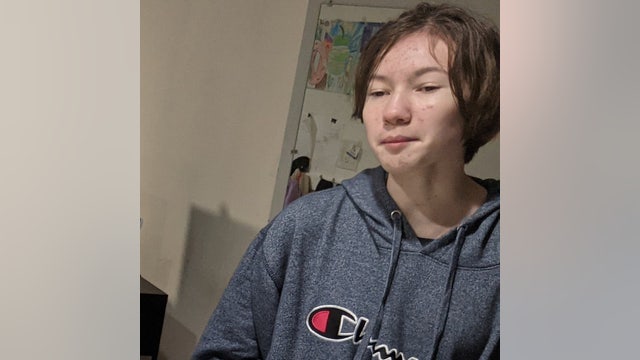 Mountain View police ask public's help in locating missing 12-year-old