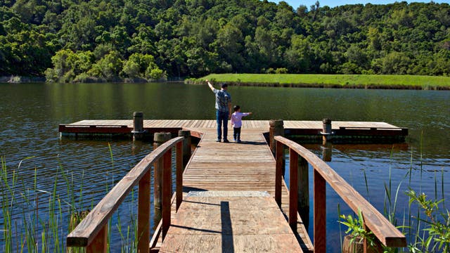 City of Palo Alto to consider renaming Foothills Park