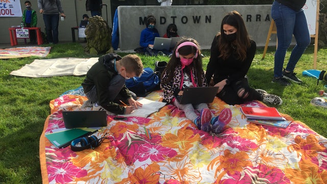 Frustrated families stage 'Zoom-in' outside San Francisco schools