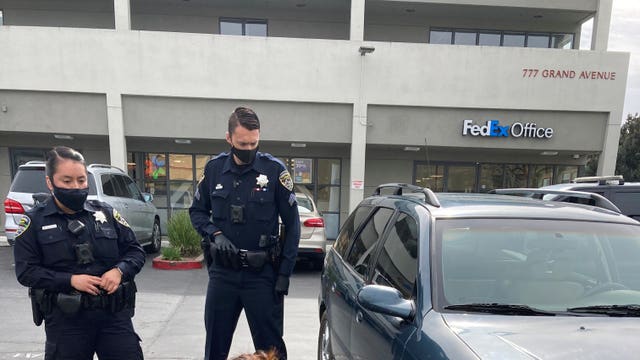 San Rafael police sting results in 2 bike theft arrests